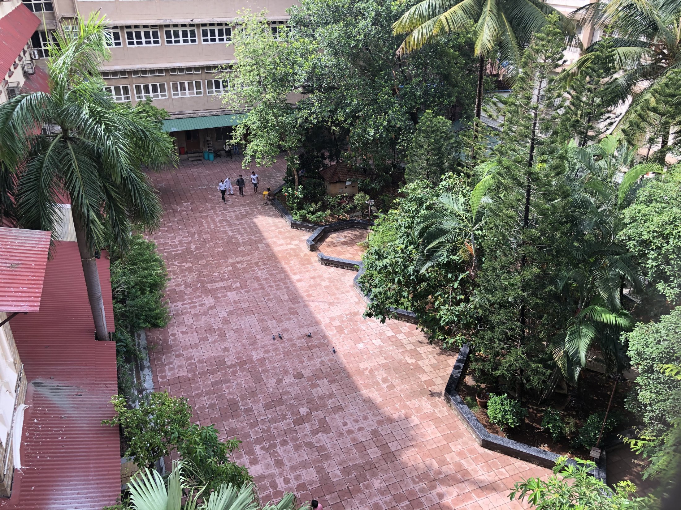 Life Science Corridor View – Woods